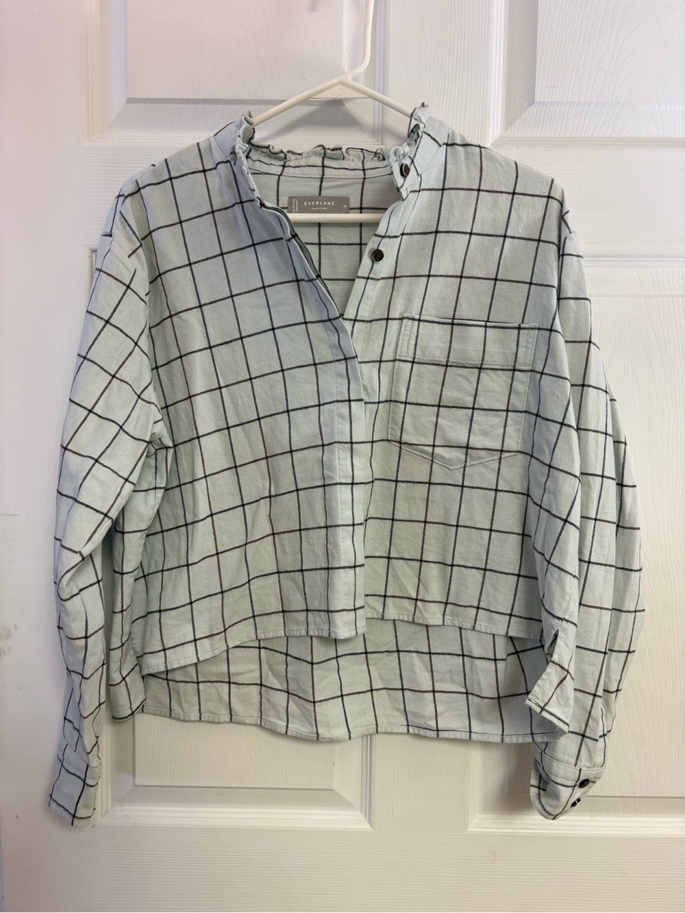 Everlane Mint Green Plaid Button-Up Shirt